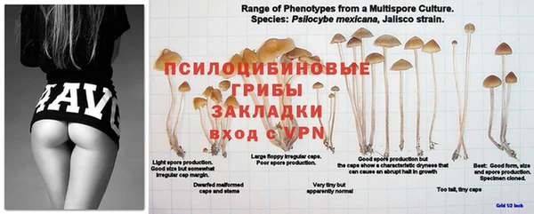 mdma Белоозёрский