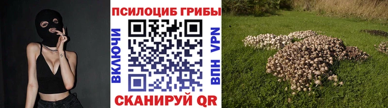 Купить закладки  Елизово  Псилоцибиновые грибы ЛСД 